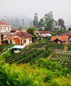 Bandung Lembang Ciwidey TSB 4D3N Start Jakarta