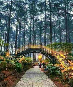 Paket Outbond Lembang